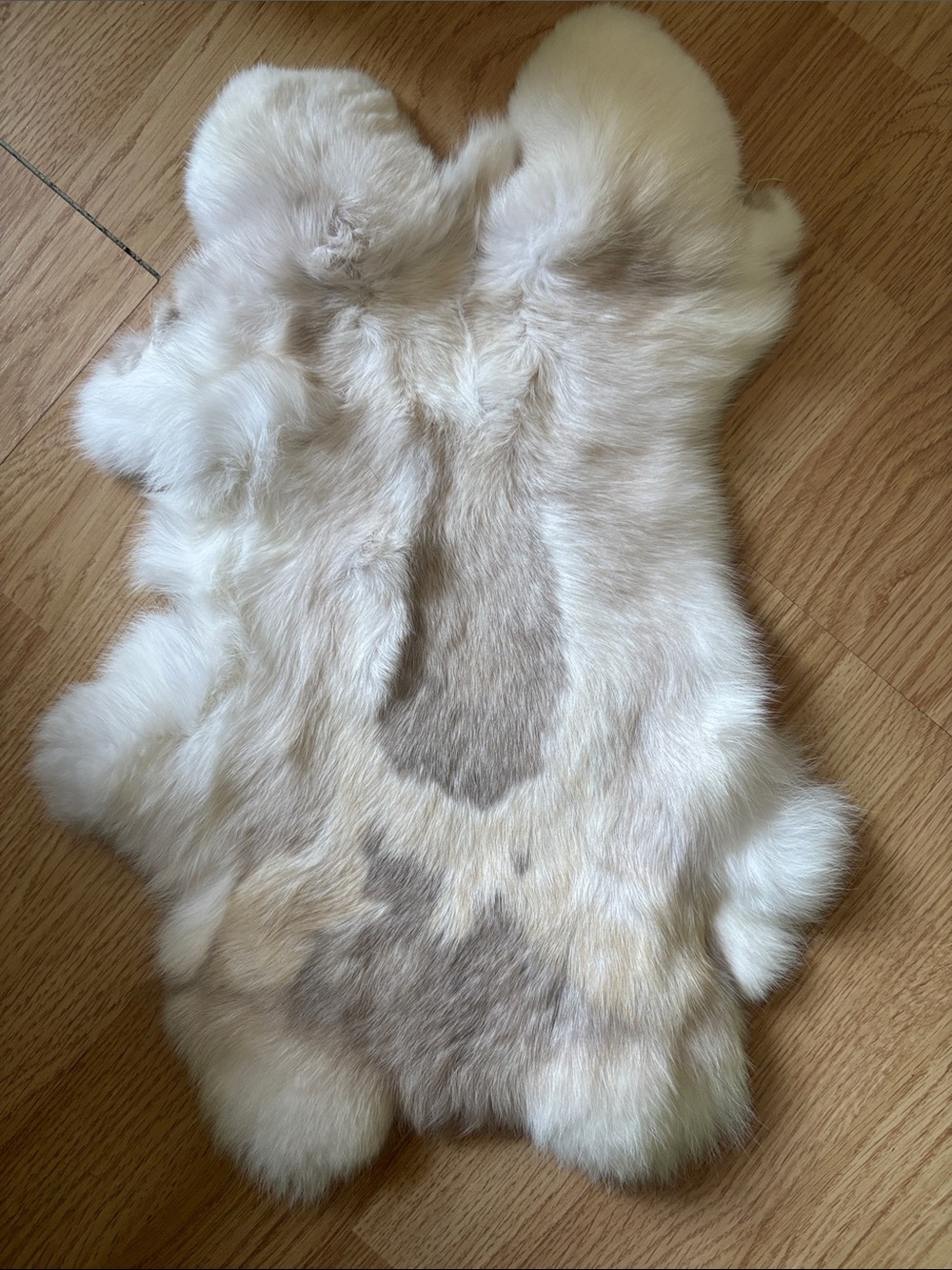 B0123 rabbit pelt